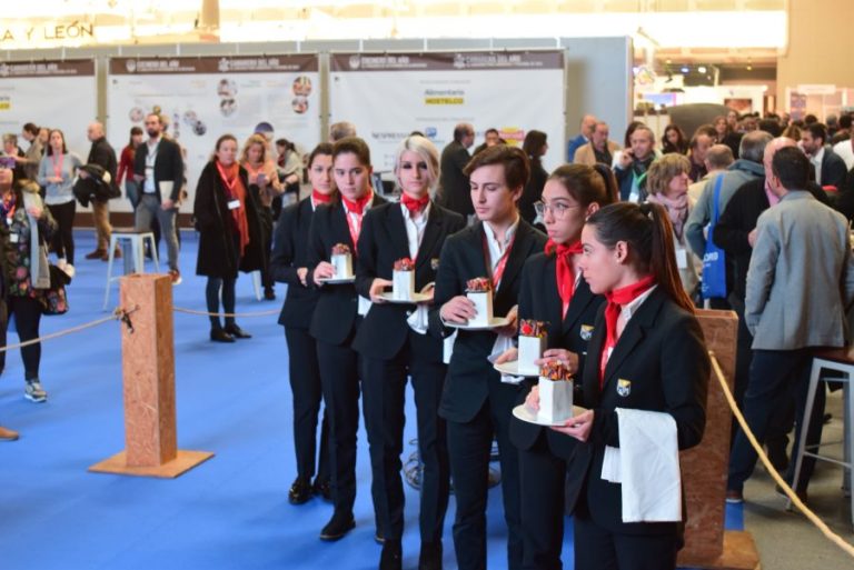 formación profesional