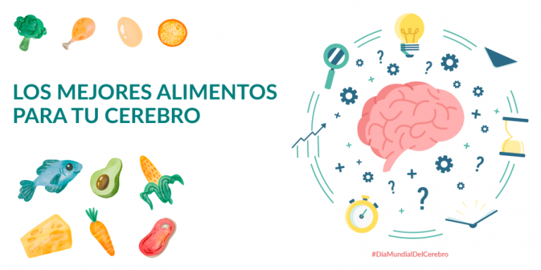 alimentos que mejoran la salud del cerebro