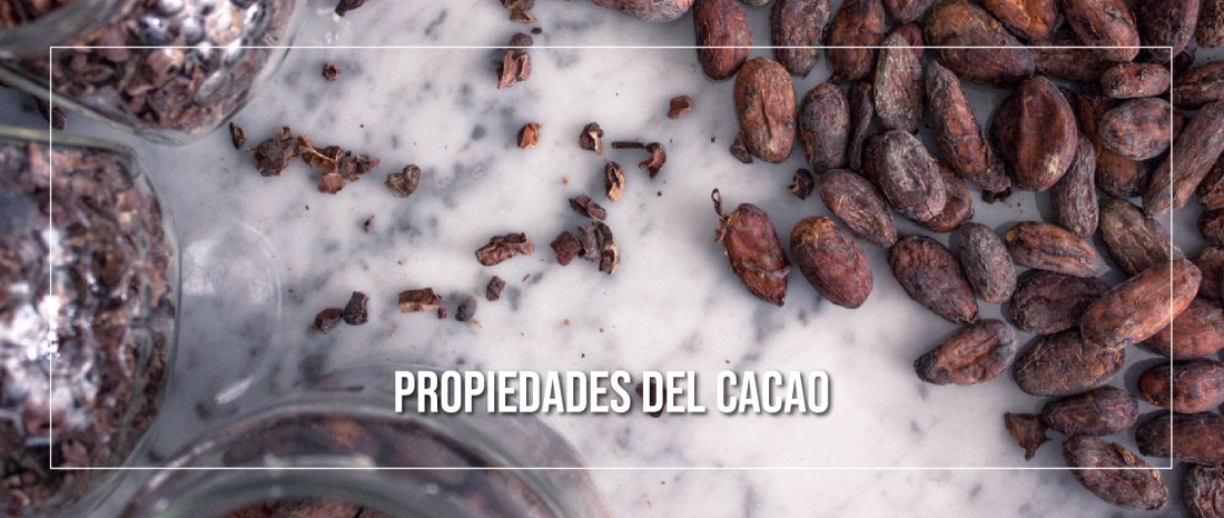 propiedades del cacao