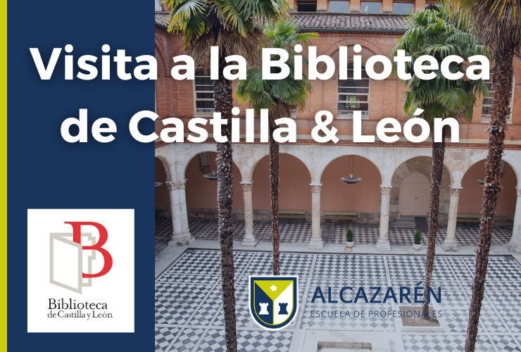 visita biblioteca cyl