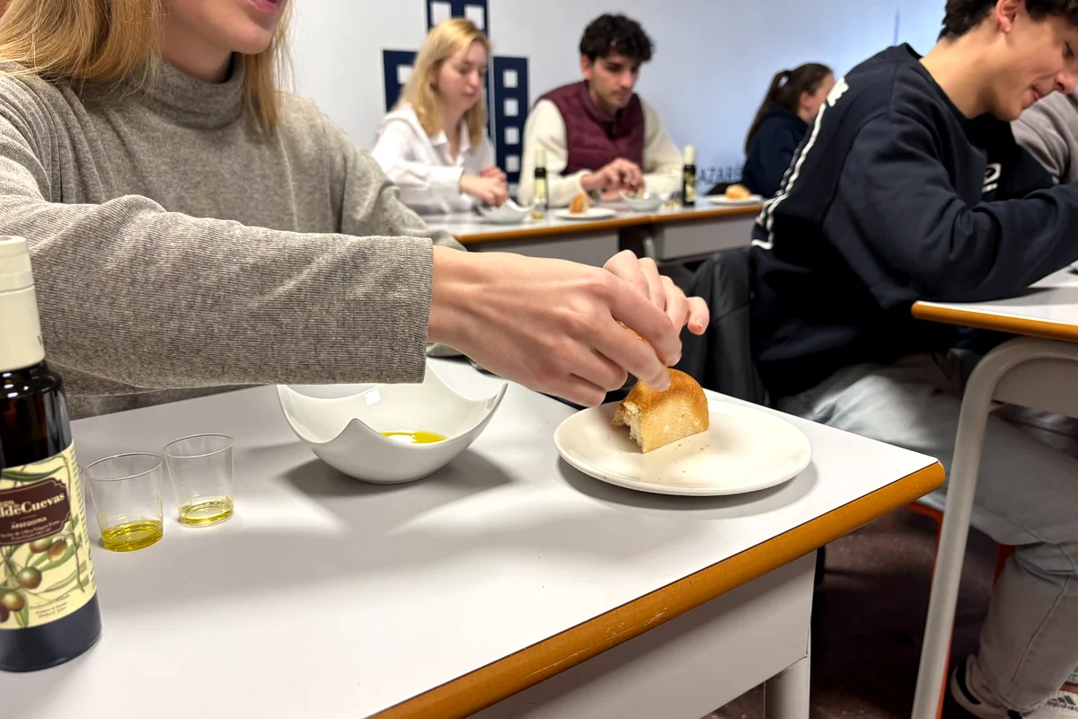 cata-aove-valdecuevas-alcazaren-1