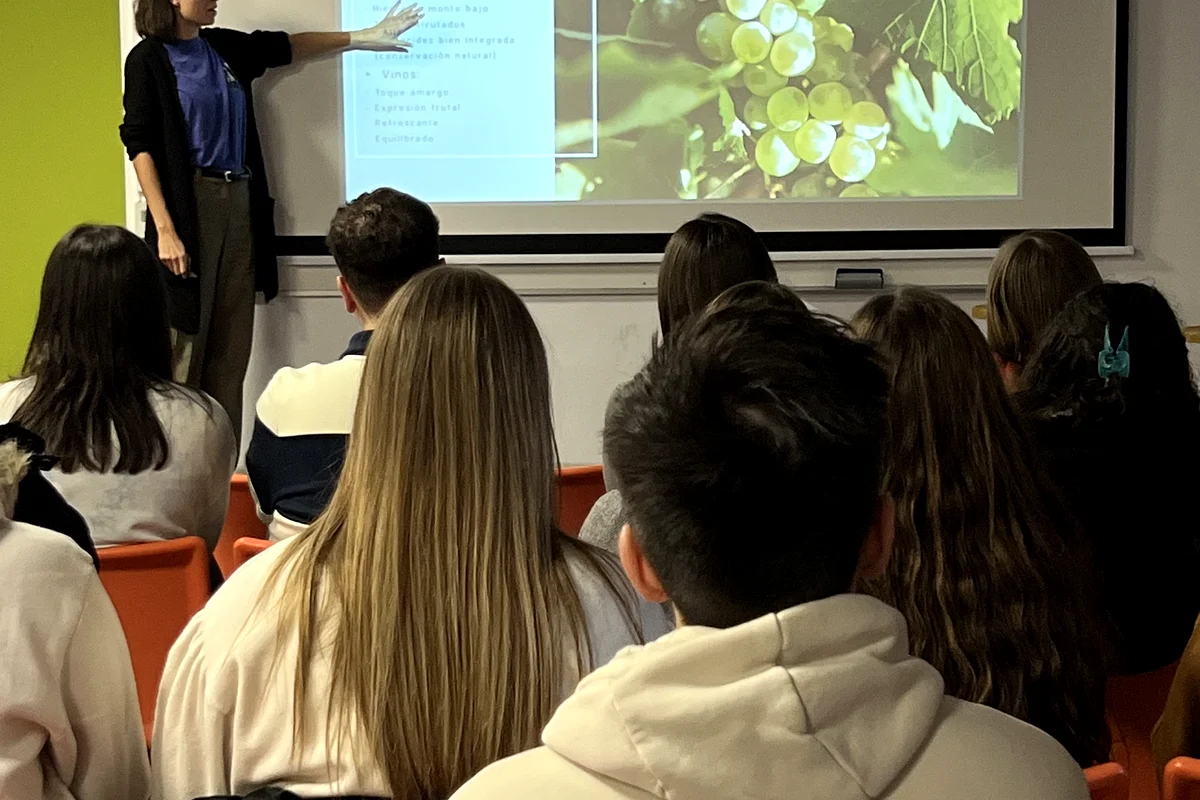 sesion-4rayas-bodega-alcazaren-1