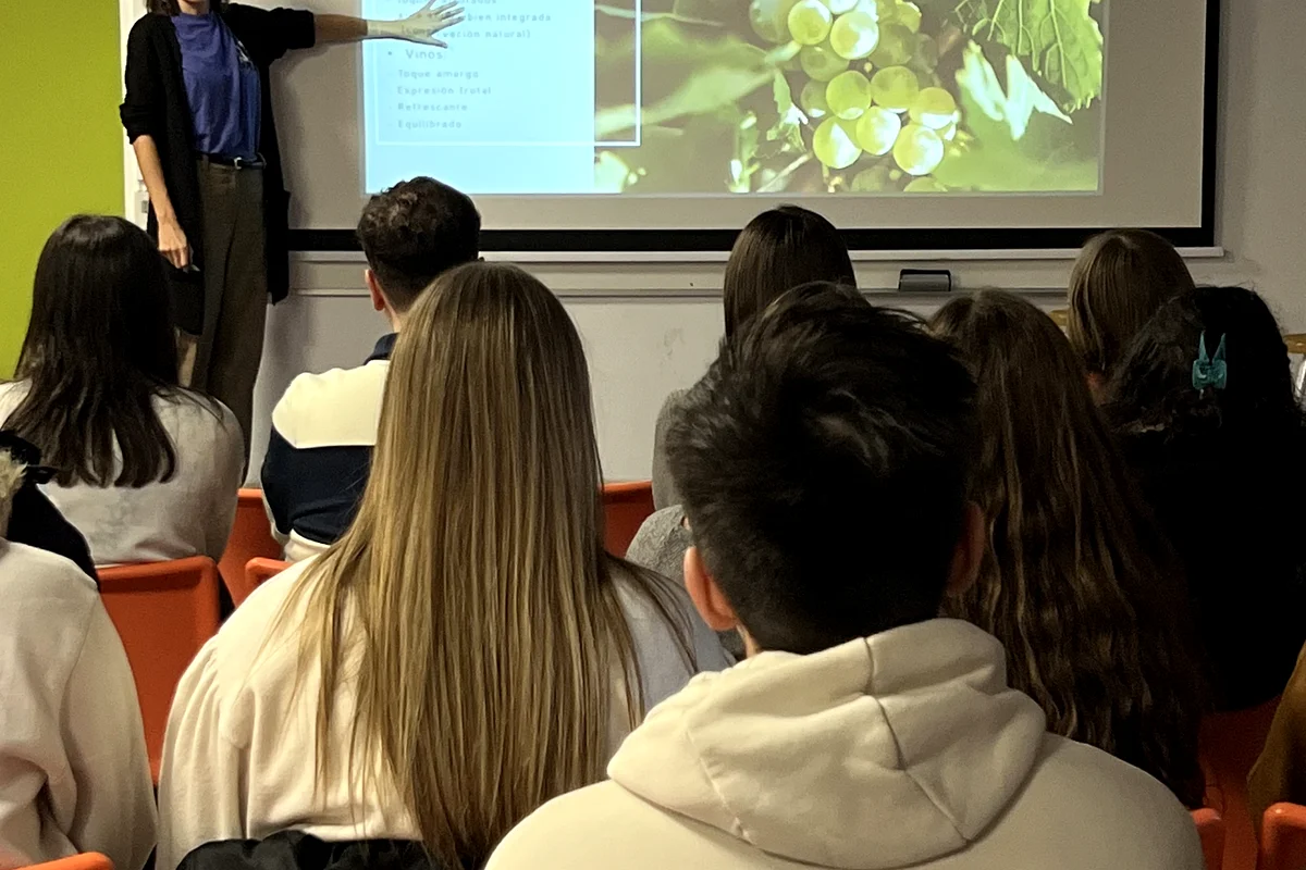 sesion-4rayas-bodega-alcazaren-2