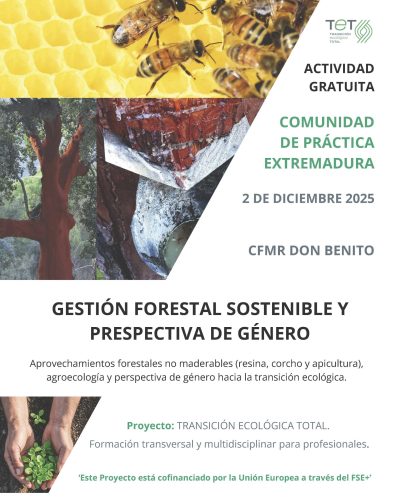 251106 CP12-T Carteleria CP TET_Don Benito